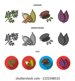 Dill, cocoa beans, basil.Herbs and spices set collection icons in cartoon,flat,monochrome style vector symbol stock illustration web.