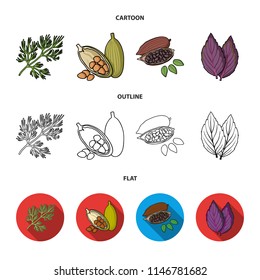 Dill, cocoa beans, basil.Herbs and spices set collection icons in cartoon,outline,flat style vector symbol stock illustration web.