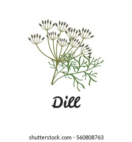 Dill color flat icon for web and mobile design