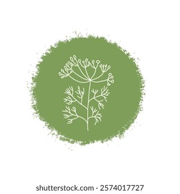 Dill culinary herb label. Hand drawn badge. Vector hand drawn doodle illustration isolated on white background.