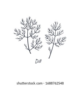 Ilustración vectorial de concepto dibujada a mano de Dill. 