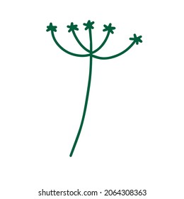 Dill in doodle style. Meadow green plant and spice. Simple natural grass. Cartoon illustration