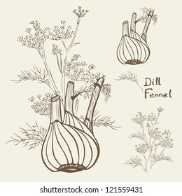 dill and / or fennel, hand drawn vector illustration