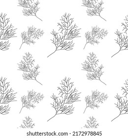 Dill or fennel seamless pattern. Linear Dill or fennel on white background. seamless pattern, vector illustration.