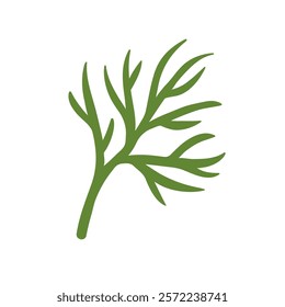 Dill, fresh green branch, leaf vegetable, natural seasoning. Aromatic organic leafy garnish, ingredient for salads. Healthy farm produce. Flat vector illustration isolated on white background