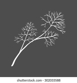  Dill hand drawn