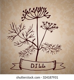 Dill herb with leaf and flower isolated on grange background hand drawn