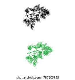 Dill herb leaf. Thin leaves to cook and season vegetables, cucumbers, pickles, salads, soups. Also called Dill weed. 