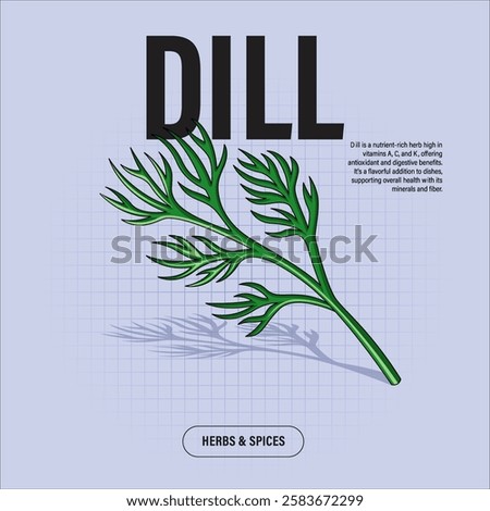 Dill Herb Premium Vector Clipart High-Quality Illustration for Cooking Branding and Packaging