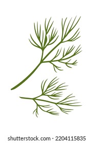 Dill Herb Spice. Vector illustration