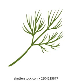 Dill Herb Spice. Vector illustration