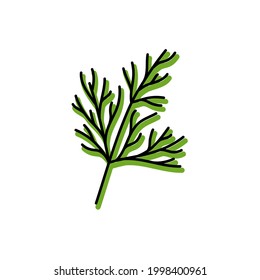 Dill herbs. Vegetable sketch. Color simple icon. Hand drawn vector doodle illustration