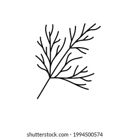 Hierbas. Esbozo vegetal. Icono de contorno simple delgado. Vector de línea de contorno negro. Dibujo a mano de Doodle