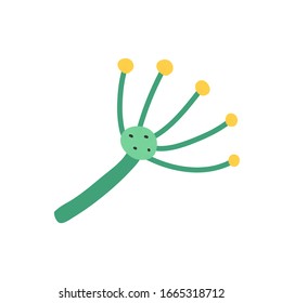 Dill icon. Cartoon illustration of dill vector icon for web. Flat hand drawn doodle style, vector drawing isolated on white background