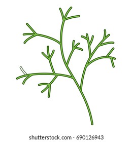 Dill icon. Cartoon illustration of dill vector icon for web design