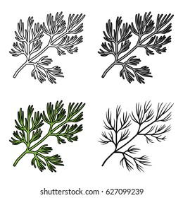 Dill icon in cartoon style isolated on white background. Herb an spices symbol stock vector illustration.