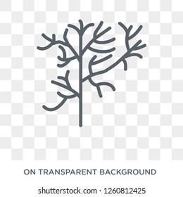 Dill icon. Dill design concept from Fruit and vegetables collection. Simple element vector illustration on transparent background.