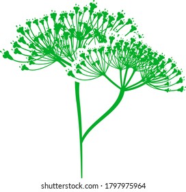 Dill Icon. Flat Color Design. Vector Illustration.