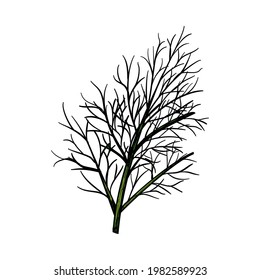 Dill Icon. Hand Drawn Sketch Design. Vector Illustration.