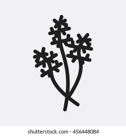 Dill icon illustration isolated vector sign symbol