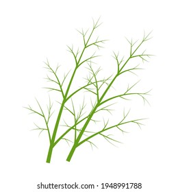 Dill icon on white background. Vector illustration