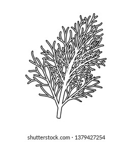 Dill Icon. Thin Line With Orange Fill Design. Vector Illustration.