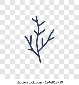 Dill icon. Trendy linear Dill logo concept on transparent background from Fruits and vegetables collection