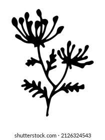 de la inflorescencia de las semillas de la planta.  plantas de estilo doodle con un montón de semillas y hojas de paraguas, contorno negro aislado sobre blanco para una plantilla de diseño floral natural