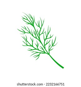 Dill isolated on white background. Fresh bunch dill. Dill weed twig for menu, packaging, cooking book, web, label design. vector illustration