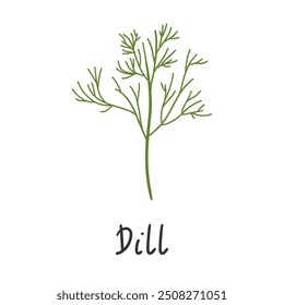 Dill isolado no fundo branco. Encha de cacho fresco. Galho de maconha para menu, embalagem, livro de culinária, web ou etiqueta design vetor ilustração em estilo plano