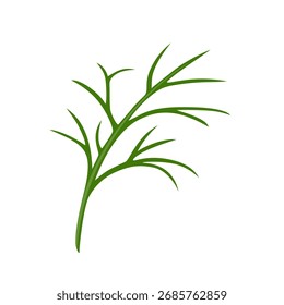 Dill isolated on white background. Vector cartoon flat illustration. Fresh green herb icon.