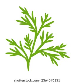 Dill leaf. Vector herbal isolated illustration. Food ingredient.