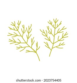Hojas de eneldo, producto fresco vegetal de hierba, ilustración vectorial de la producción de alimentos de granja orgánica. Caricatura hoja verde sana de hinojo o eneldo del mercado agrícola aislado en blanco