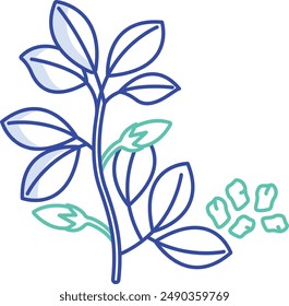 Dill outline color vector illustration