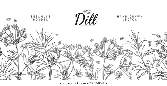 Dill plant seamless border, hand drawn sketch vector illustration on white background. Banner with copy space for text. Dill branches with leaves, flowers and seeds, healthy herbs or greens.