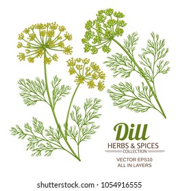 dill plant vector set