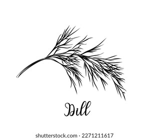 Dill spice Black and white line art drawing.