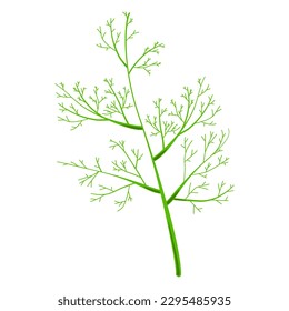 Dill sprig isolated on white vector image on white background. Food. Clipart.