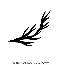 Dill. Vector graphics with the image of fennel greens. A black silhouette illustration of healthy food, made by hand. On a white background. For menus, posters or labels. For cooking recipes, packages