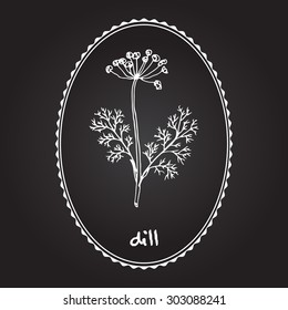 Dill, vector illustration