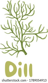 Dill, vector illustration. Isolated object of dill and greenery icon. Tasty and healthy spicy grass. For meat and vegetable dishes. Dill stock symbol for menu design, packaging, cooking book, web