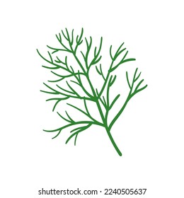 Dill with vitamin C vector illustration. Cartoon drawing of enriched organic antioxidant, dill. Food, nutrition, diet concept