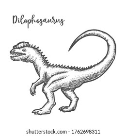 Dilophosaurus dinosaur sketch. Prehistoric animal or Jurassic beast. Ancient reptile hand drawn. Predator dino. Dilophosaurus wetherilli. Evolution and paleontology, fossil and archeology theme