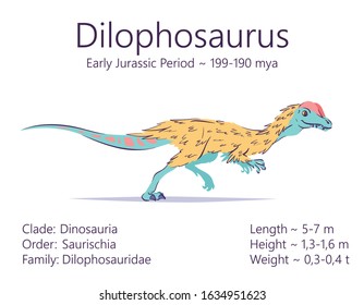 Dilophosaurus. Theropoda dinosaur. Colorful vector illustration of prehistoric creature dilophosaurus and description of characteristics and period of life isolated on white background. Fossil dino.