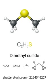 Dimethyl Sulfide Dms Chemical Formula Molecule Stock Vector (Royalty ...