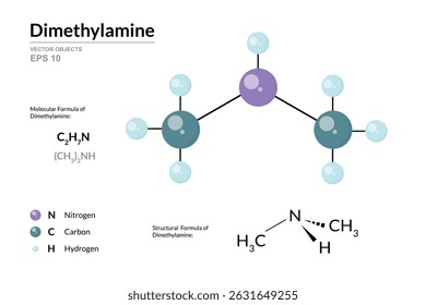 Dimethylamine. Structural Chemical Formula and 3d Model of Molecule. C2H7N. Atoms with Color Coding. Vector graphic Illustration for educational materials, scientific articles, and presentations