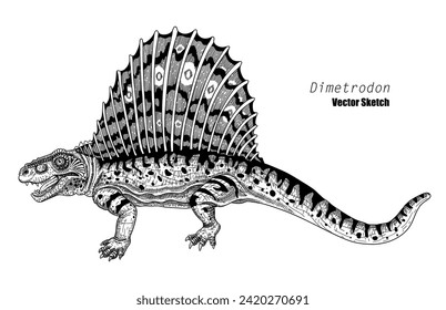 Dimetrodon. Dibujo de sketch de dinosaurios. Blanco y negro. Dibujo manual de arte vectorial