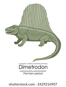 Dimetrodon, one of the earliest relatives of mammals, Permian period synapsid. Colorful illustration on a white background