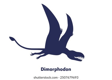 Dimorphodon, flying dinosaur, pterosaur on white, vector