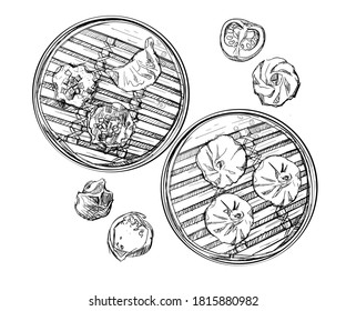 Dimsum dumpling eat tradition china hand drawn sketches white isolation background